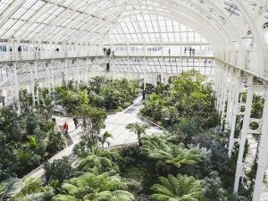 Palacio de Kew y jardines